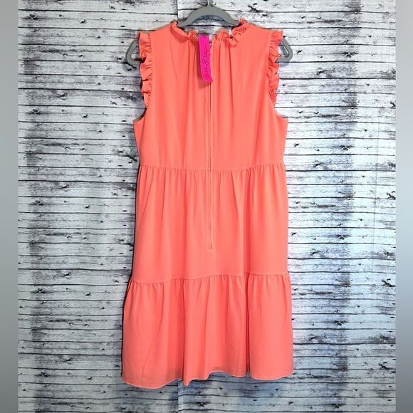 Lilly Pulitzer Jazzy Dress - Picture 2 of 11